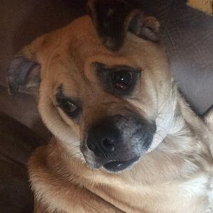 Meet your Posher, Keira